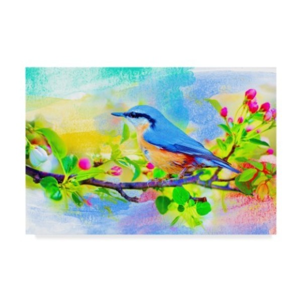 Trademark Fine Art Ata Alishahi 'Spring Flowers And Bird 6' Canvas Art, 30x47 ALI22413-C3047GG